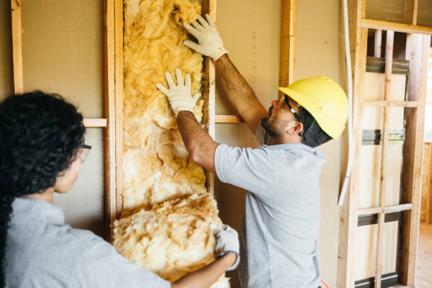 Best Insulation Removal  in Pu, HI