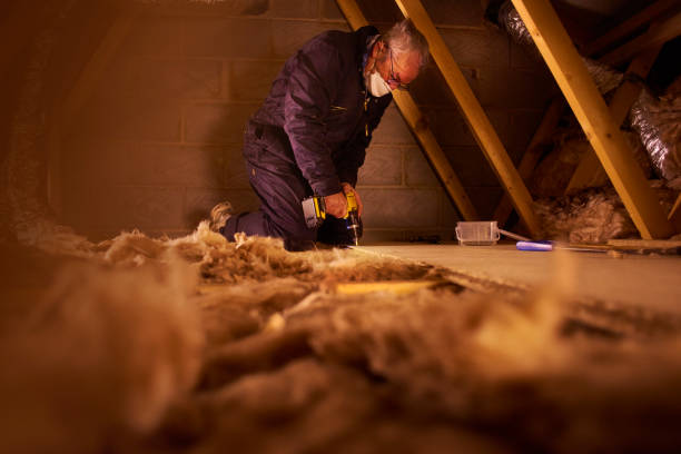 Best Crawl Space Insulation  in Pu, HI